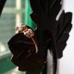 Ảnh hồ sơ của Lan Ngọc